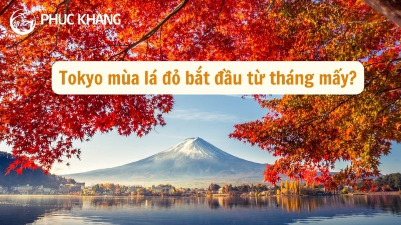 Tokyo mùa lá đỏ bắt đầu từ tháng mấy? Bật mí 5 địa điểm ngắm lá đỏ đẹp nhất ở Tokyo, Nhật Bản 24 3