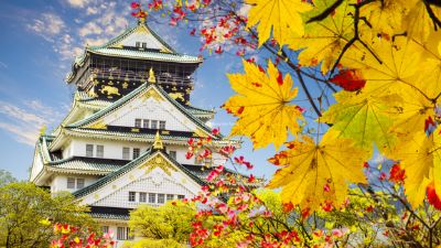 NGẮM SẮC THU TẠI NHẬT BẢN 2024 (HÀ NỘI -OSAKA - NAGOYA- NARA- TOKYO - NÚI PHÚ SĨ) 6N5Đ 42 4 2