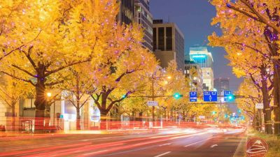NGẮM SẮC THU TẠI NHẬT BẢN 2024 (HÀ NỘI -OSAKA - NAGOYA- NARA- TOKYO - NÚI PHÚ SĨ) 6N5Đ 6 5 3