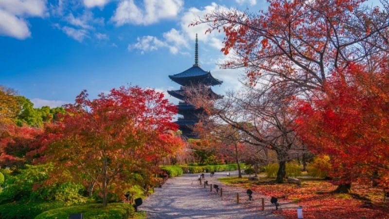 HÀ NỘI - OSAKA - KYOTO- PHÚ SĨ - TOKYO 6N5Đ 5 7 1