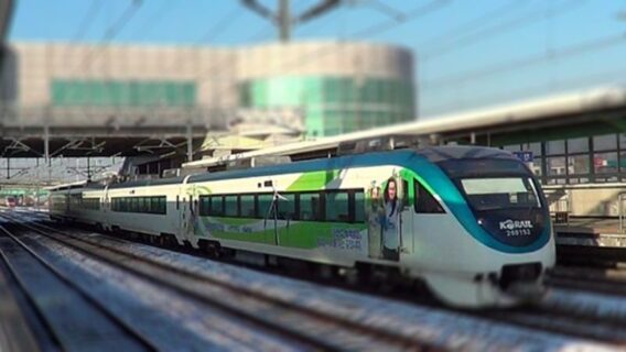 Cẩm nang du lịch đảo Nami mùa thu lá đỏ đẹp nhất năm 2024 4 dao-nami-mua-thu-3