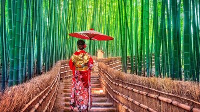 NGẮM SẮC THU TẠI NHẬT BẢN 2024 (HÀ NỘI -OSAKA - NAGOYA- NARA- TOKYO - NÚI PHÚ SĨ) 6N5Đ 43 7 3
