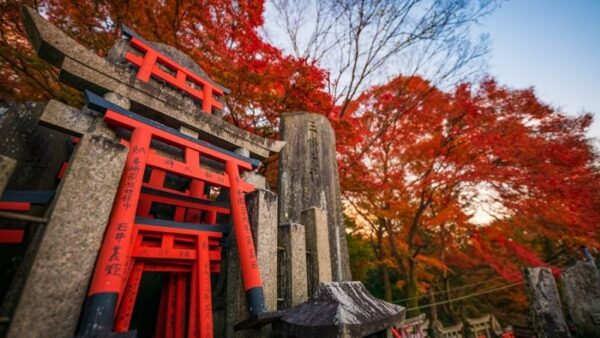 HÀ NỘI - OSAKA - KYOTO- PHÚ SĨ - TOKYO 6N5Đ 20 9 1