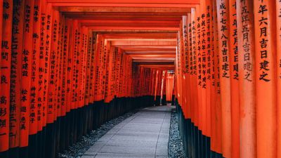 NGẮM SẮC THU TẠI NHẬT BẢN 2024 (HÀ NỘI -OSAKA - NAGOYA- NARA- TOKYO - NÚI PHÚ SĨ) 6N5Đ 10 9 3