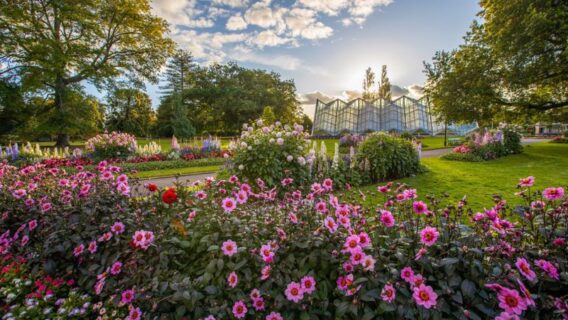Bontanic Gardens