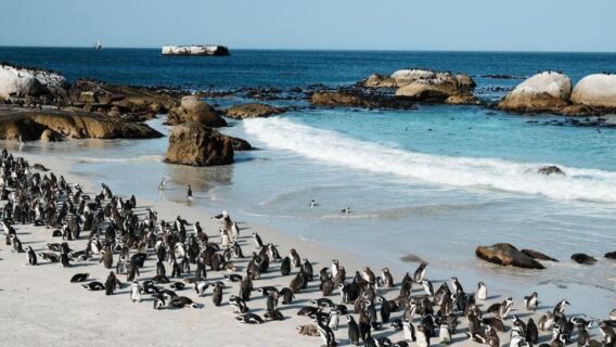 bien Boulders Beach