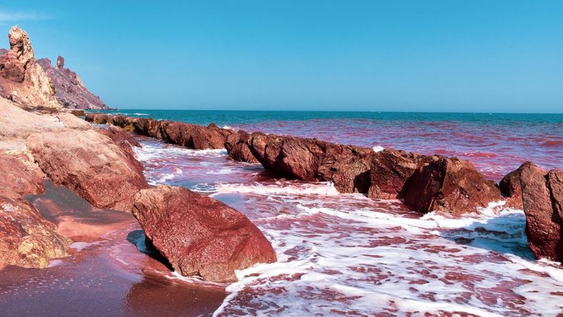 HÀ NỘI/HỒ CHÍ MINH - AI CẬP (CAIRO - BAHARIYA – ALEXANDRIA - ASWAN - LUXOR - BIỂN ĐỎ) 12N11Đ 11 bien do