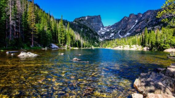 dao Colorado