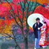 HÀ NỘI - NARITA - TOKYO - NÚI PHÚ SĨ - YAMANASHI - KYOTO - OSAKA 6N5Đ