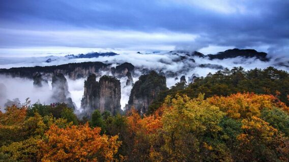 trung-quoc-mua-thu-7