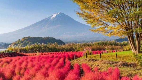 HÀ NỘI - NARITA - TOKYO - NÚI PHÚ SĨ - YAMANASHI - KYOTO - OSAKA 6N5Đ 27 8