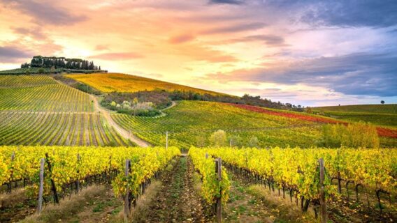 Chianti