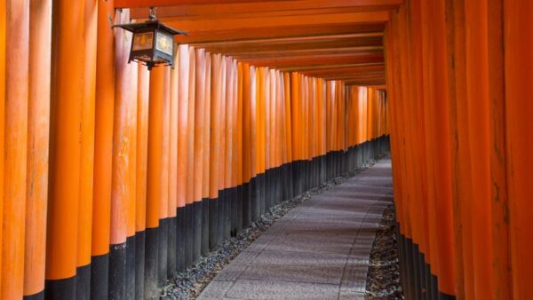 HÀ NỘI - NARITA - TOKYO - NÚI PHÚ SĨ - YAMANASHI - KYOTO - OSAKA 6N5Đ 40 Fushimi Inari