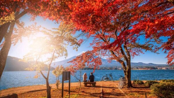 HÀ NỘI - NARITA - TOKYO - NÚI PHÚ SĨ - YAMANASHI - KYOTO - OSAKA 6N5Đ 41 Ho Kawaguchi