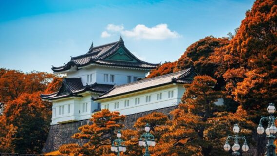 HÀ NỘI - NARITA - TOKYO - NÚI PHÚ SĨ - YAMANASHI - KYOTO - OSAKA 6N5Đ 48 Hoang cung