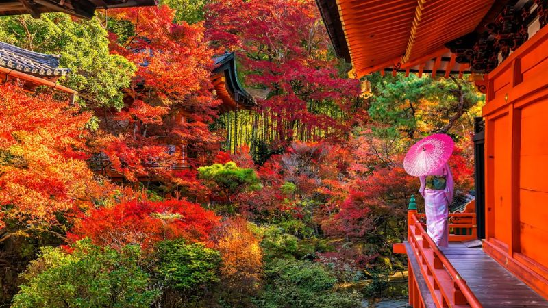 Du lịch Kyoto mùa lá đỏ: 10 địa điểm tham quan đẹp nhất 13 1