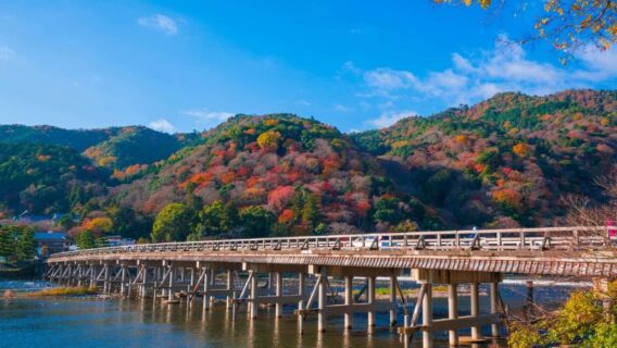 Du lịch Kyoto mùa lá đỏ: 10 địa điểm tham quan đẹp nhất 9 kyoto-mua-la-do-8