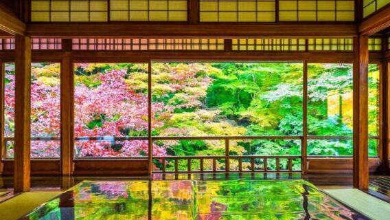 Du lịch Kyoto mùa lá đỏ: 10 địa điểm tham quan đẹp nhất 10 kyoto-mua-la-do-9