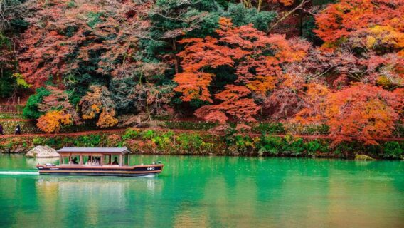 Du lịch Kyoto mùa lá đỏ: 10 địa điểm tham quan đẹp nhất 7 kyoto-mua-la-do-6