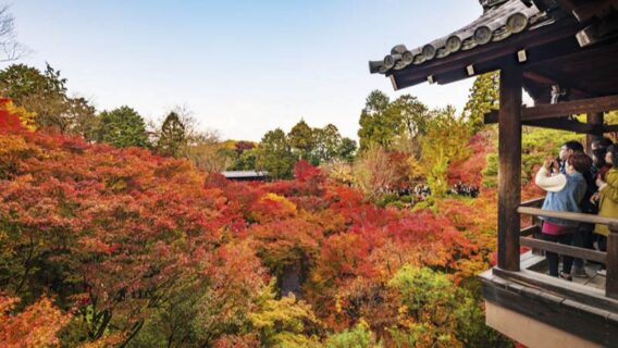 Du lịch Kyoto mùa lá đỏ: 10 địa điểm tham quan đẹp nhất 3 kyoto-mua-la-do-2