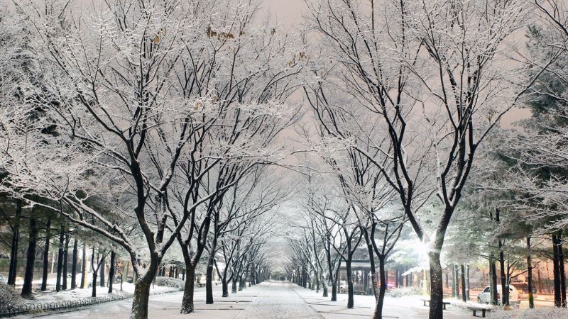 KHÁM PHÁ MÙA ĐÔNG HÀN QUỐC: SEOUL - NAMI – NAMSAN – LOTTE WORLD 4N5Đ 11 8