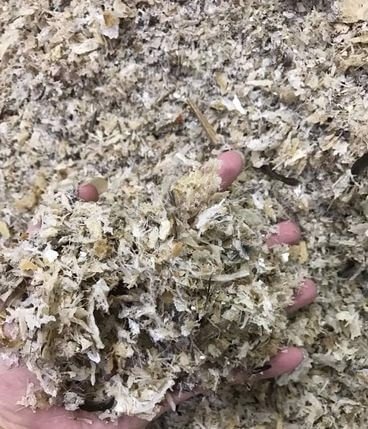 Tại sao giá tổ yến có sự chênh lệch rất lớn trên thị trường? 3 yen vun