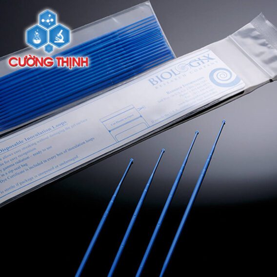 Que cấy đầu tròn 1ul có tiệt trùng
