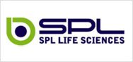 SPL - Hàn Quốc