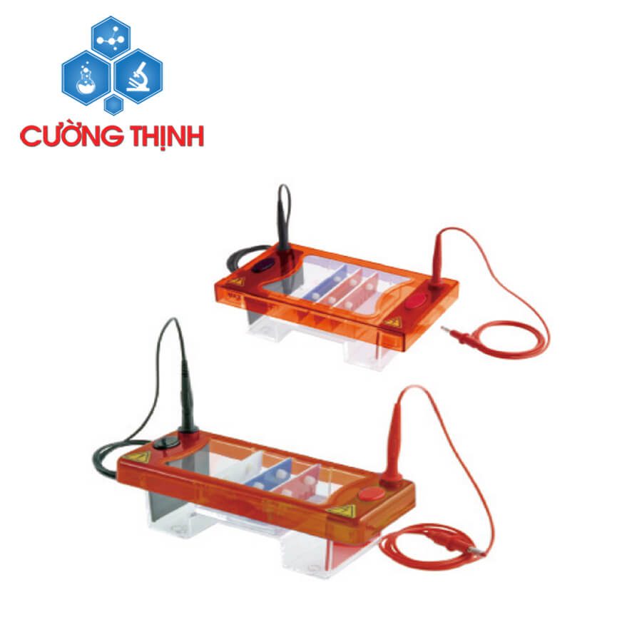 Bể điện di 220x125x90 mm (Biologix - Mỹ) 1 Bể điện di 220x125x90 mm (Biologix - Mỹ)