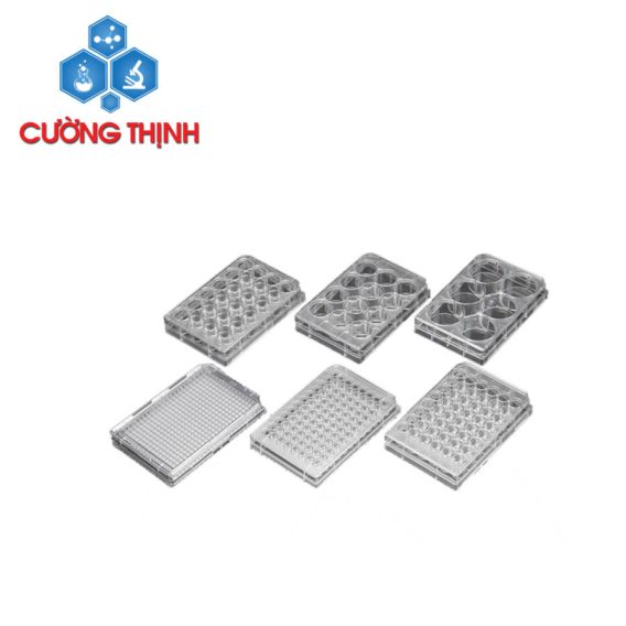 Đĩa - phiến nuôi cấy tế bào (SPL - Hàn Quốc)