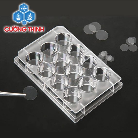 Phiến kính cho đĩa nuôi cấy (SPL - Hàn Quốc)