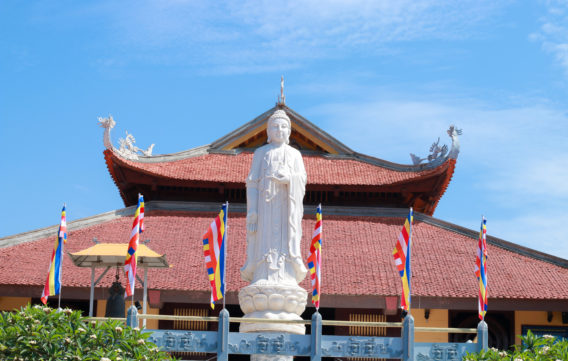 Bình yên nơi chân Phật 1