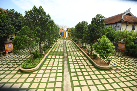 DSC 0008