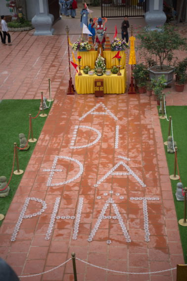 DSC 0007