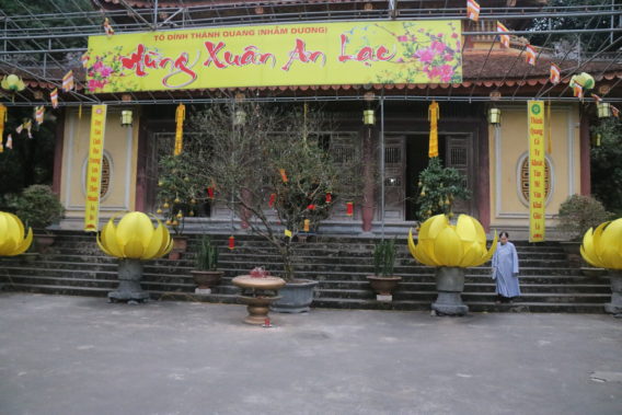 IMG 0623