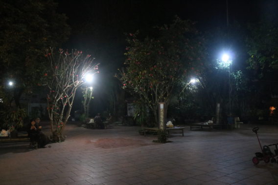 IMG 0784