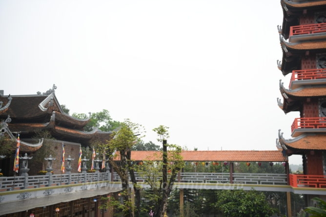 DSC 1210