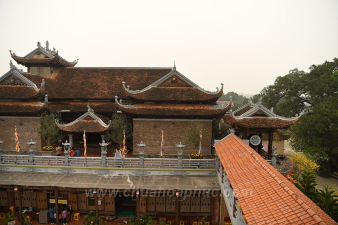 DSC 1549