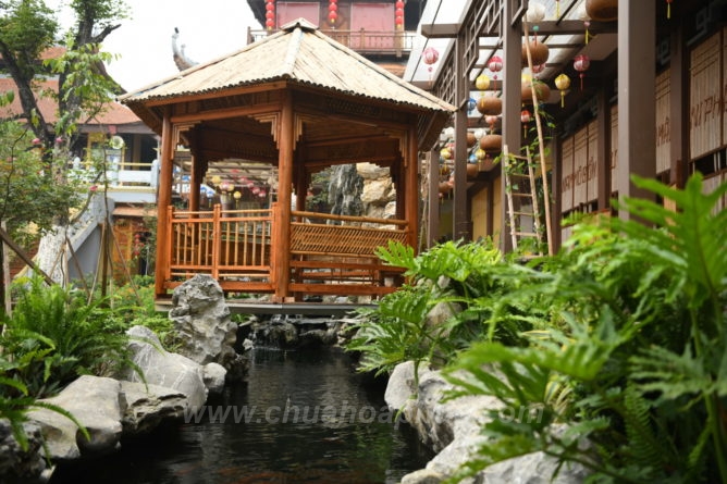 DSC 4843 1