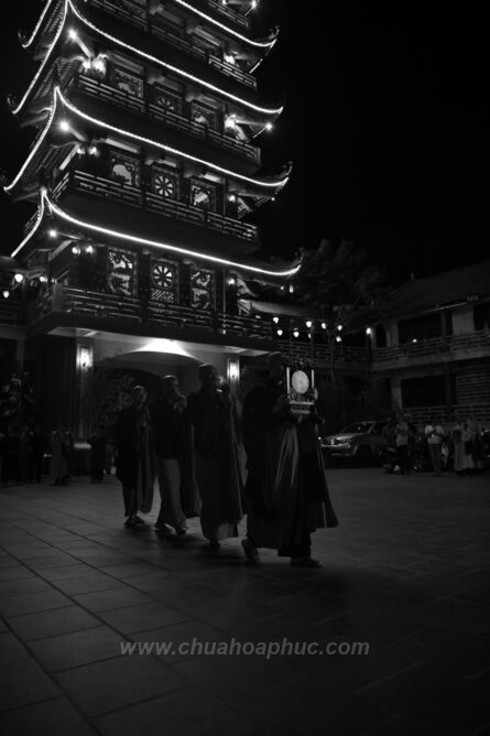 DSC 1856 1