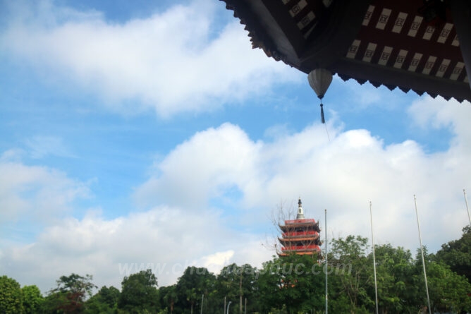 IMG 0060 1