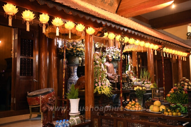 DSC 0186