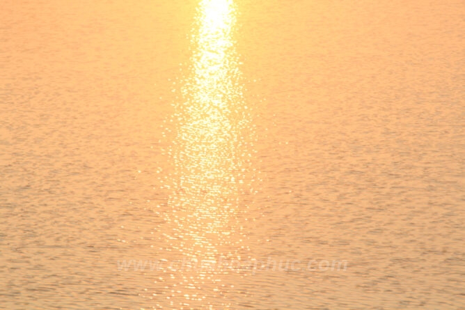 IMG 3084 1