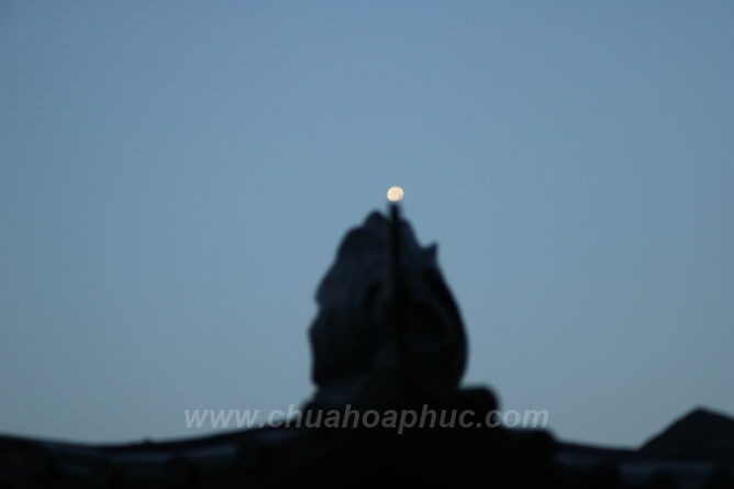 IMG 3602 Copy 1