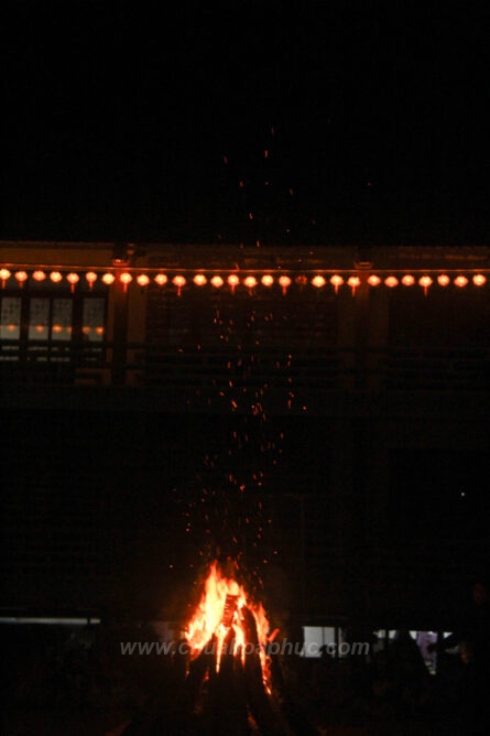 IMG 3773 3 1