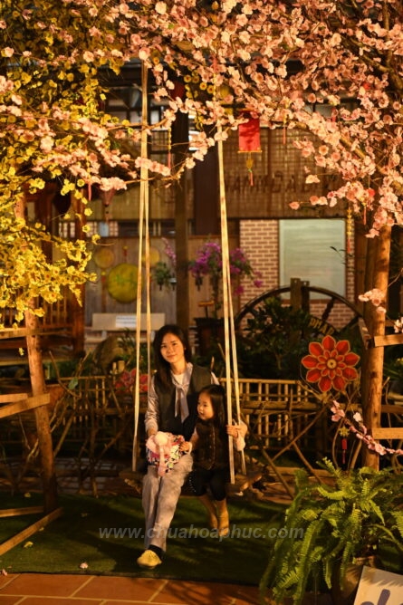 DSC 7371 1