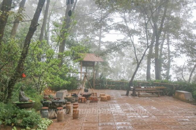 IMG 0422