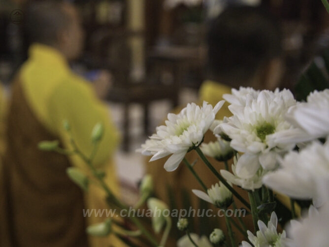 IMG 7882