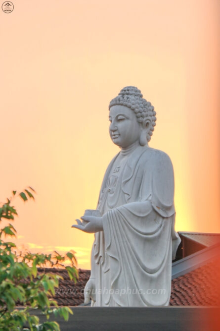 Tuong Di Da 15