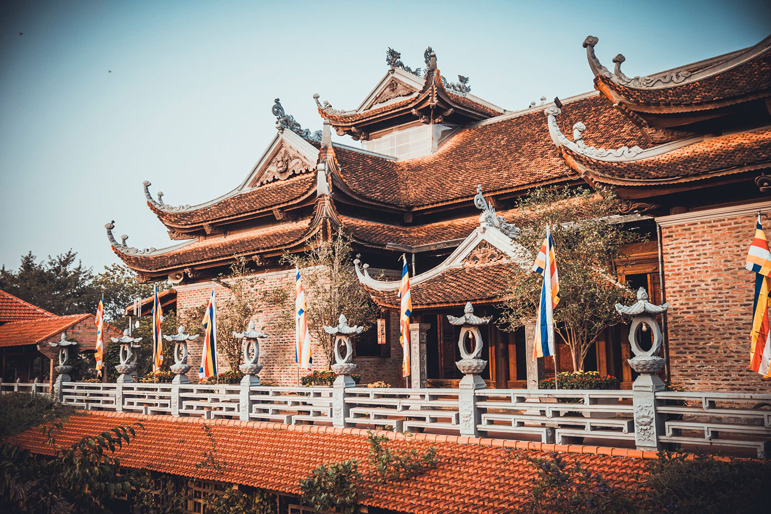 tung lam chua hoa phuc